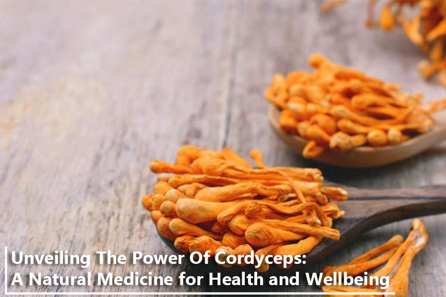 The Healing Potential of Cordyceps: A Comprehensive Guide