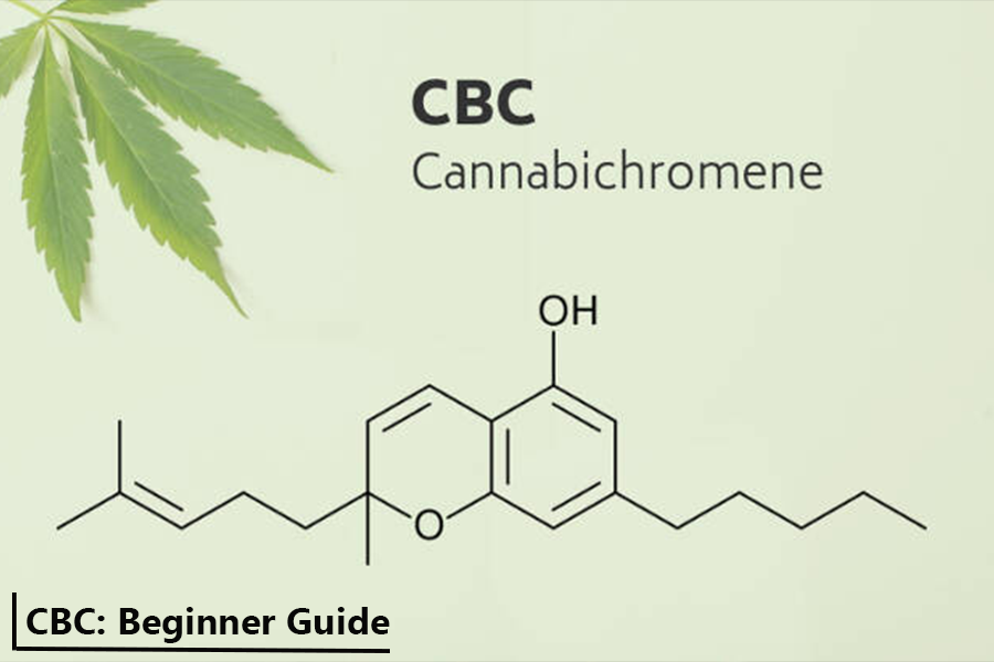 CBC Guide: Your Complete Guide to Cannabichromene
