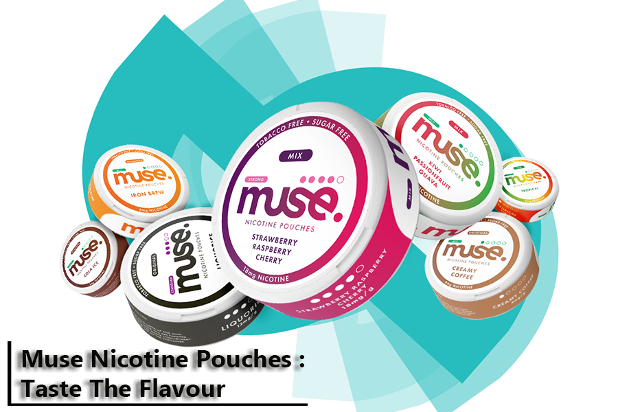 Satisfy Your Senses with Muse's Nicotine Pouches