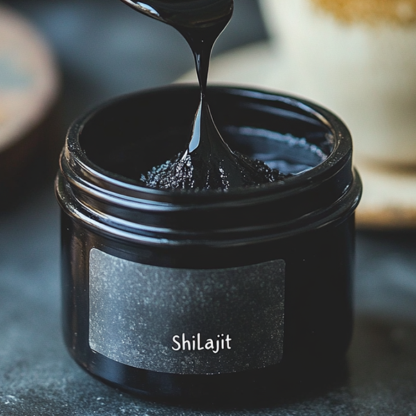 How Shilajit Supports Cognitive and Physical Health ?