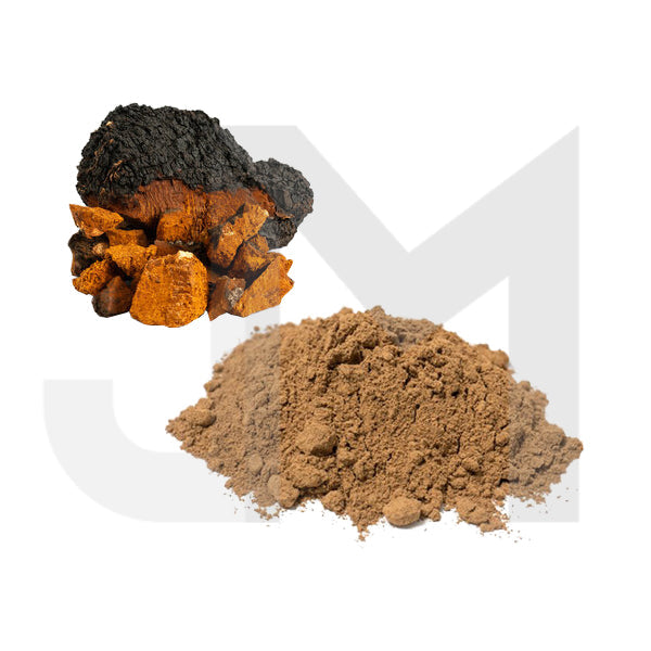 Bulk Chaga Mushroom Powder Wholesale UK