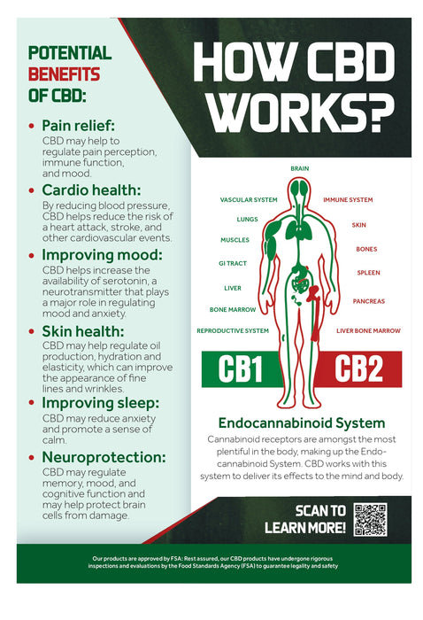 FREE CBD Awareness & Education A3 Poster - For Your Business!