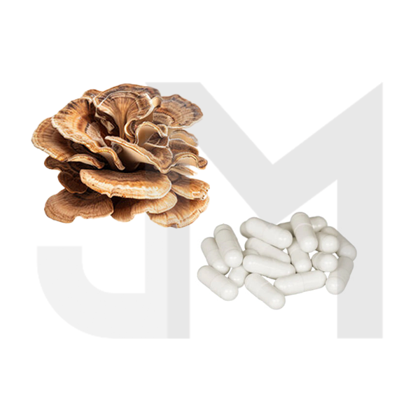 Bulk Pure 500mg Maitake Mushroom Capsules Wholesale UK