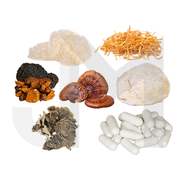 Bulk Mushroom Complex Capsules Wholesale UK