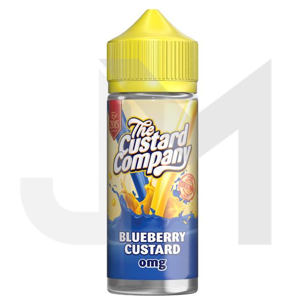 Blueberry Custard