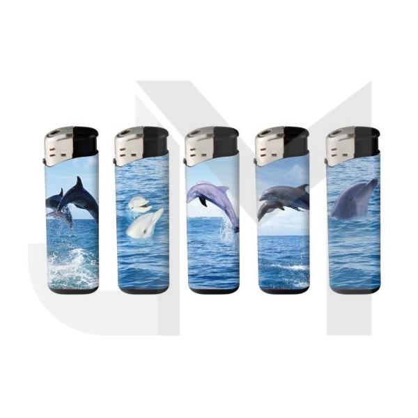 Dolphin