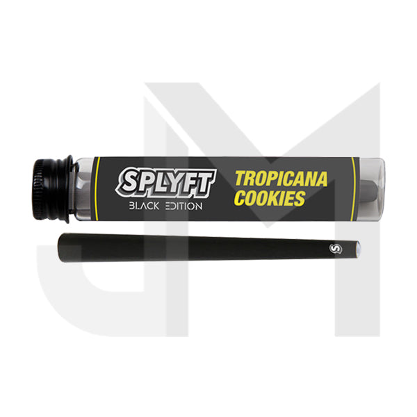 SPLYFT Black Edition Cannabis Terpene Infused Cones – Tropicana Cookies